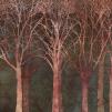 Обои для стен Photowall Природа birch-grove-night-twilight 