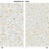 Ткань  Rituals by Studio Zero terrazzo_inkaetu1802  купить в Москве по выгодной цене|Интернет-магазин дизайнерских решений Decorwall