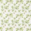 Ткань  Sanderson Art Of The Garden Fabrics 226329 