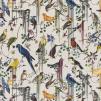 Ткань Christian Lacroix Histoires Naturelles Fabrics FCL7024-03 