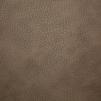 Ткань Alessandro Bini Eco leather WW12572 