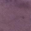  vitellina-pelo-violetta 