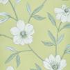 Обои для стен Prestigious Textiles Ambience 1661 avery_1661-601 avery gooseberry wallpaper 