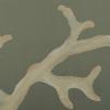 Обои для стен Fromental Roger Thomas RT005-coraille-col-ivory-on-seagreen-1 