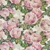 Ткань  Designers Guild John Derian Picture Book I FJD6006-02 