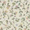 Обои для стен  Cole & Son Selection of Hummingbirds 124-3020 
