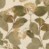 Обои для стен  Decoprint Herbarium HE27231 