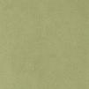Ткань Chase Erwin Ultrasuede fern-w200h2  купить в Москве по выгодной цене|Интернет-магазин дизайнерских решений Decorwall