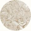 Ковер Tapis Rouge  gold-forest-circle_title 