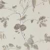 Обои для стен  Sanderson Country Woodland Wallcoverings DFAB215704 