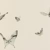 Обои для стен Fromental 20th century E001-butterflies-col-black-and-white-1 