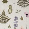 Ткань Clarke&Clarke Botanica Fabrics F1089-01 