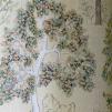 Ткань The Royal Collection Rosa Chinensis Fabrics 29703 
