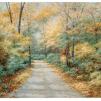  Гобелен Landscapes WA632_Autumn_Lane_3 