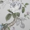 Обои для стен  Andrea Rossi Cavolli 54421_4 