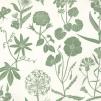 Обои для стен Hamilton Weston The Marthe Armitage wallpapers Flora-Green-detail-1 