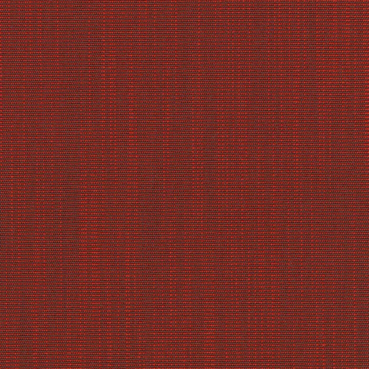 Ткань Kvadrat Raas by Doshi Levien 7913-0572  купить в Москве по выгодной цене|Интернет-магазин дизайнерских решений Decorwall