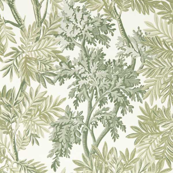 Обои для стен  Sanderson Country Woodland Wallcoverings 217416 