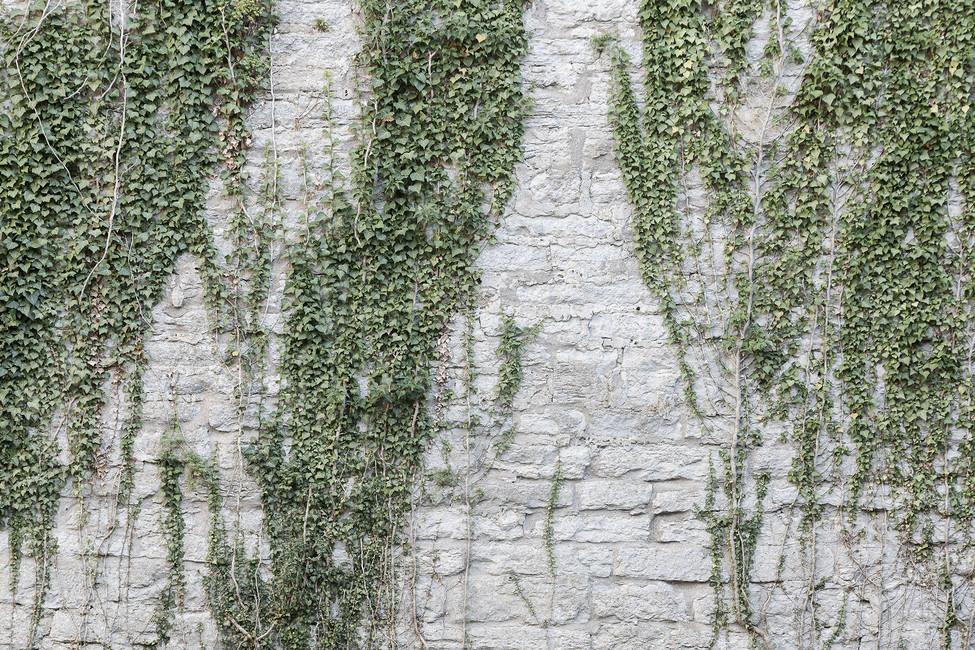 Обои для стен Photowall Текстуры и стены foliage 