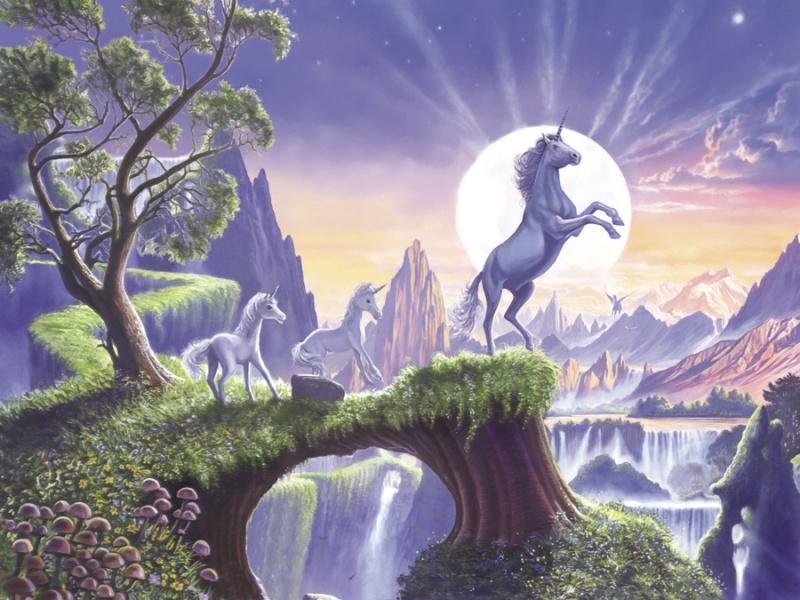 Обои для стен  Ortograf Стив Крисп OR 7902 