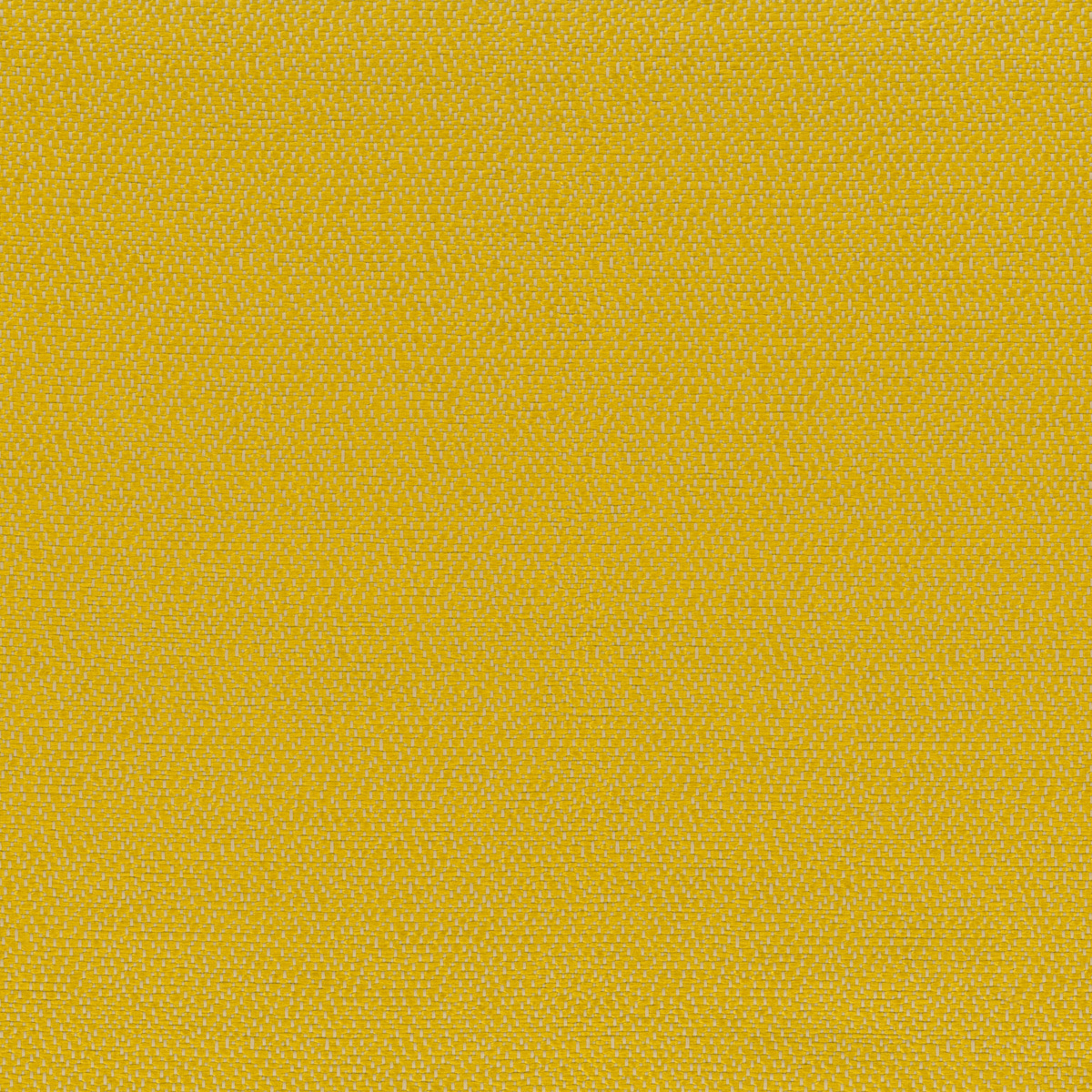 Ткань Rubelli Sharky 30703_17  купить в Москве по выгодной цене|Интернет-магазин дизайнерских решений Decorwall