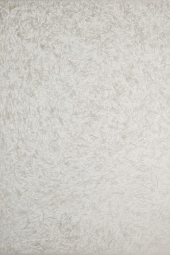 Обои для стен Biden Designs Textured Washi Paper T-01-Feather-Snow 