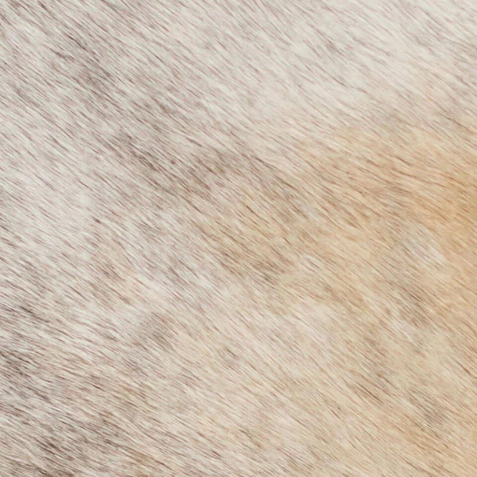   vitellina-pelo-grey-fum 