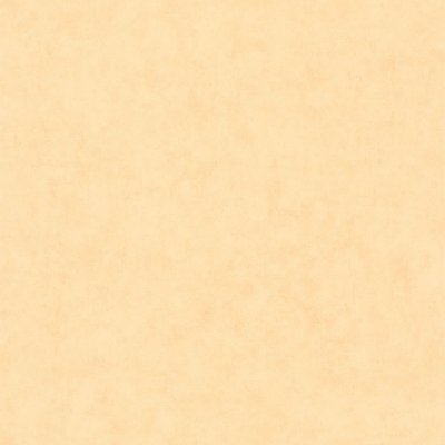 Обои для стен  Caselio Beton 2 101483100 