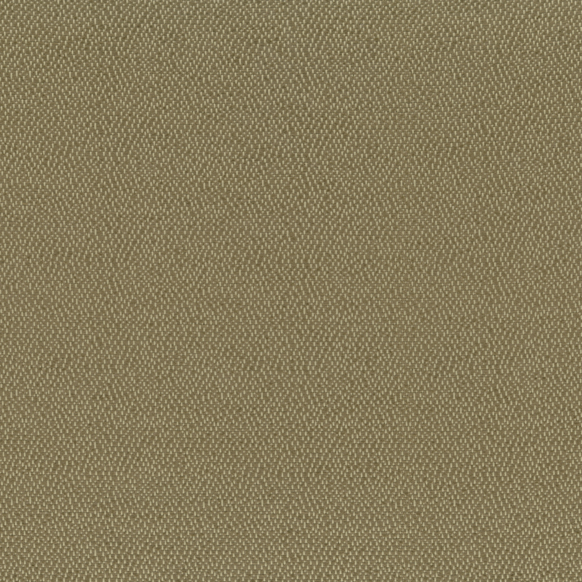 Ткань Rubelli Sharky 30703_6  купить в Москве по выгодной цене|Интернет-магазин дизайнерских решений Decorwall