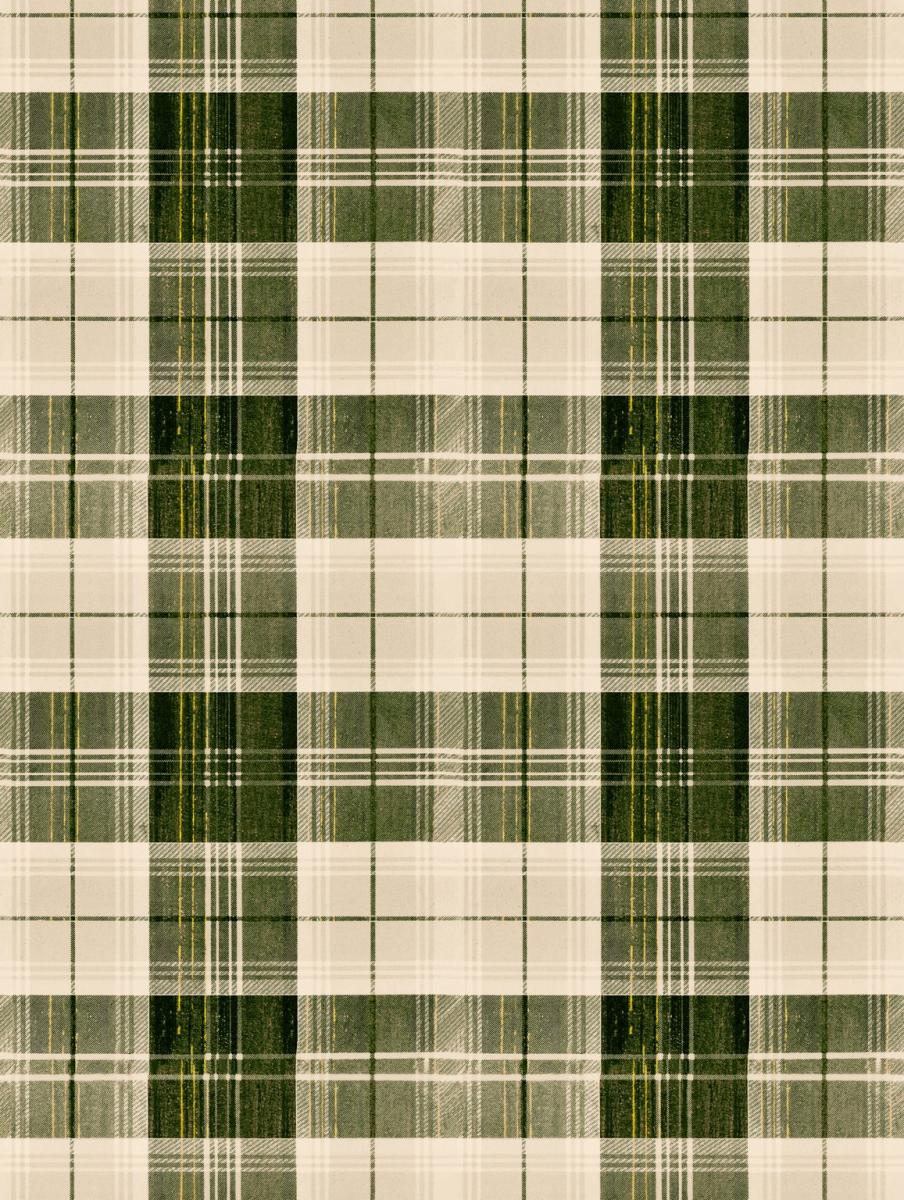 Обои для стен   Transylvanian Roots WP30010 