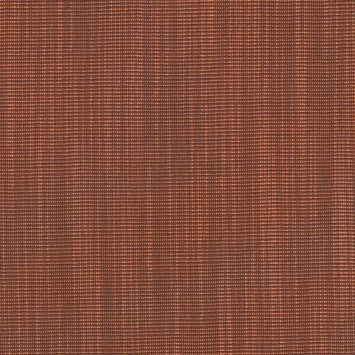 Ткань Kvadrat Raas by Doshi Levien 7913-0552  купить в Москве по выгодной цене|Интернет-магазин дизайнерских решений Decorwall