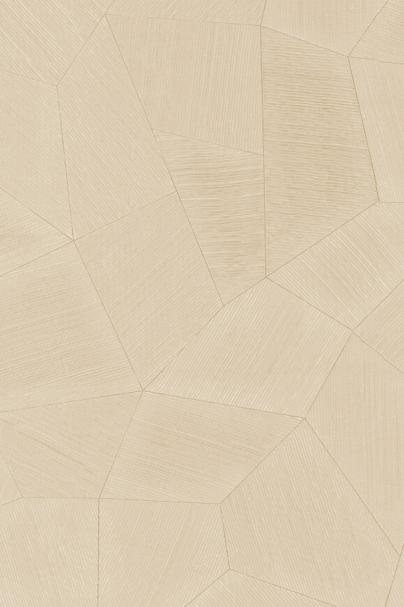 Метражные обои для стен  Arte Contract Aurora 67165 