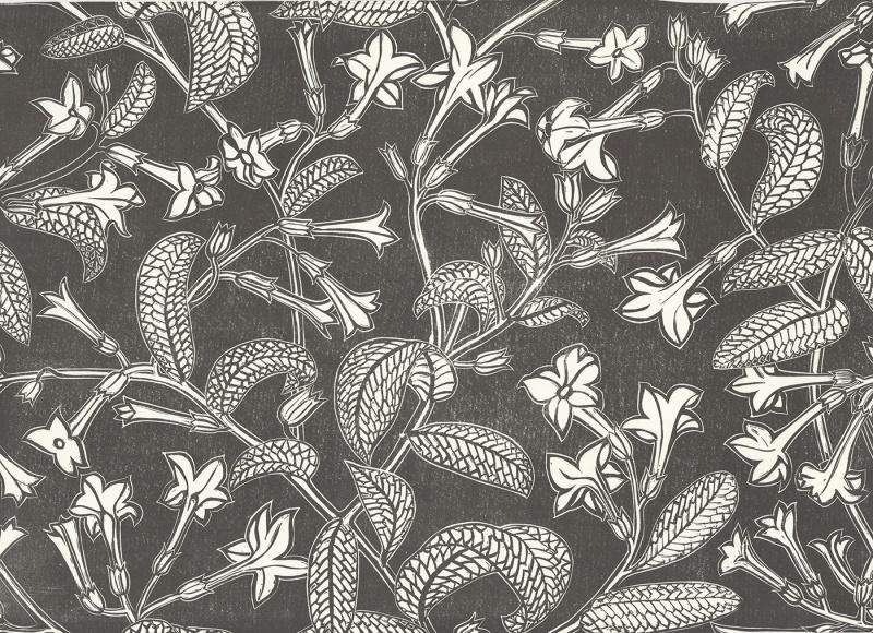 Обои для стен  Hamilton Weston The Marthe Armitage wallpapers Tobacco-Plant-Black 