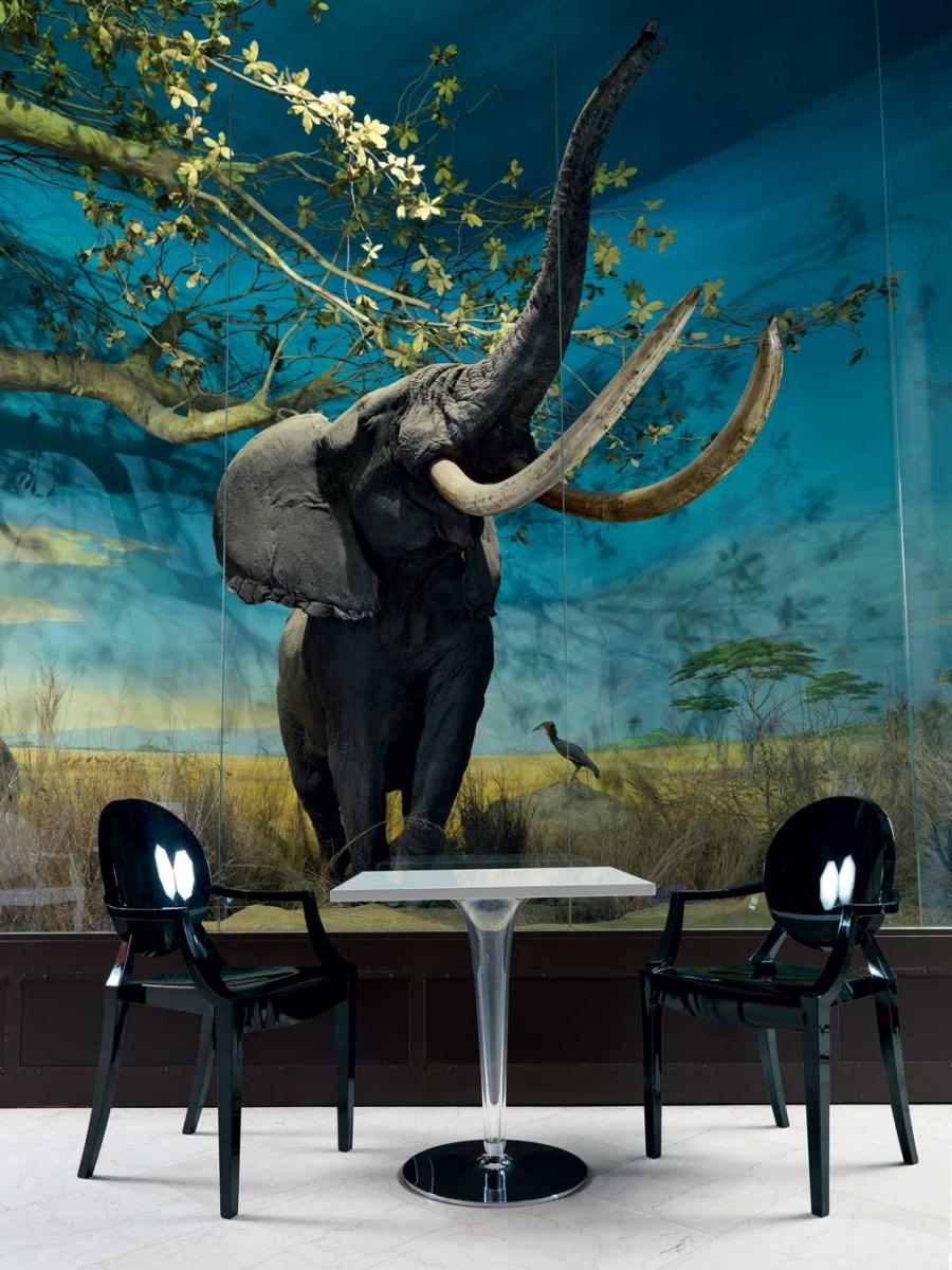 Стол    Top top round  1