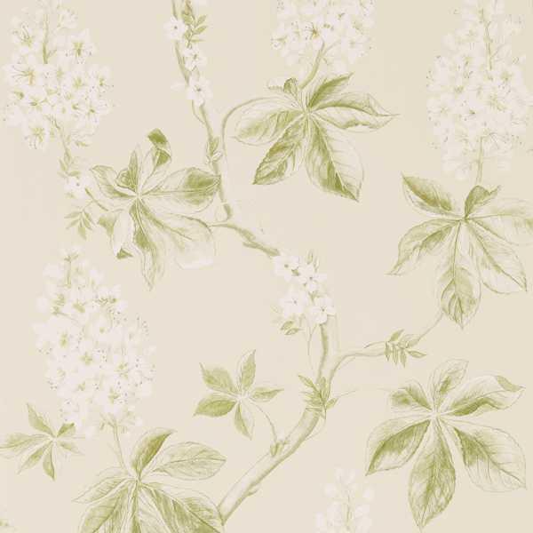 Обои для стен  Sanderson Country Woodland Wallcoverings DFAB215707 