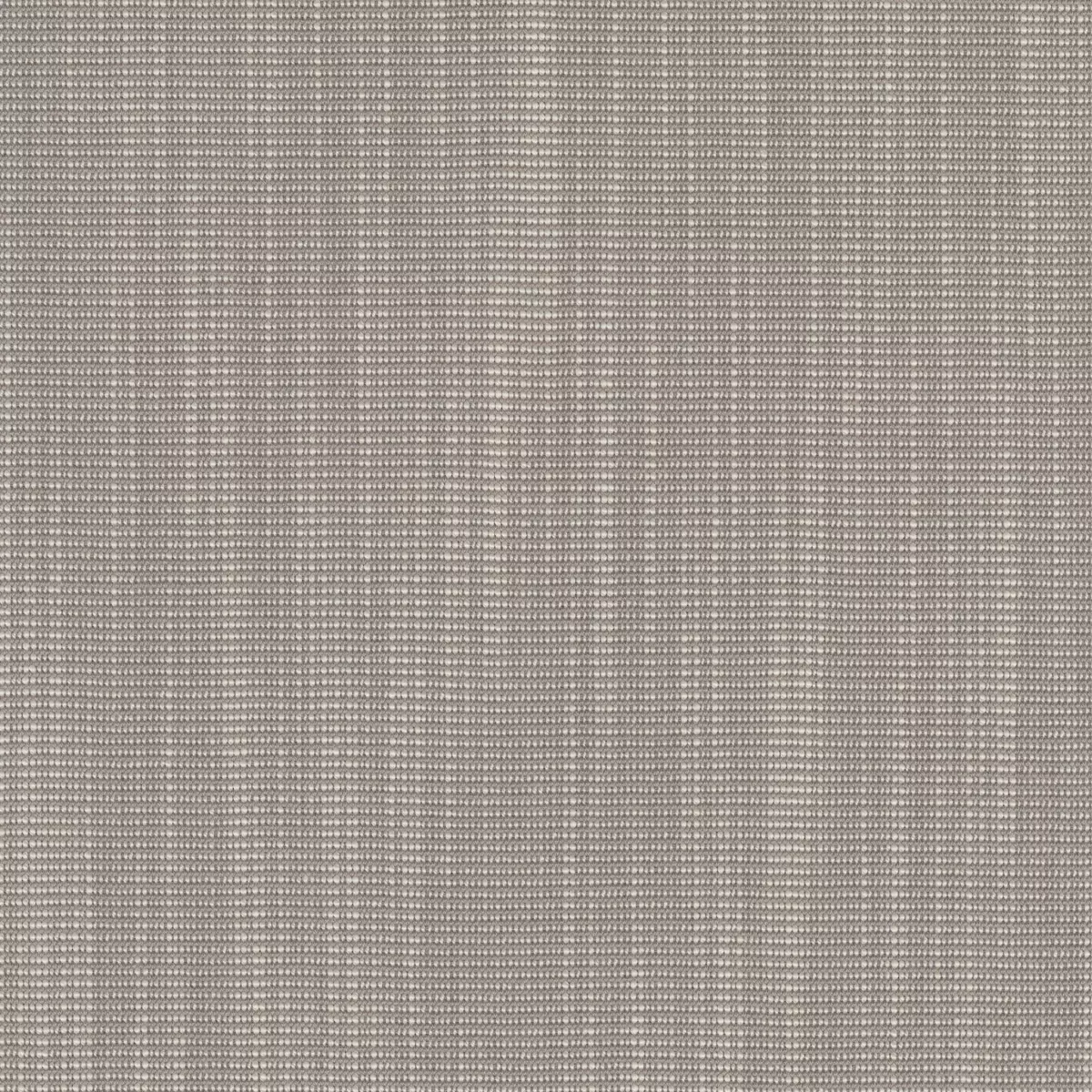 Ткань Kvadrat Raas by Doshi Levien 7913-0122  купить в Москве по выгодной цене|Интернет-магазин дизайнерских решений Decorwall