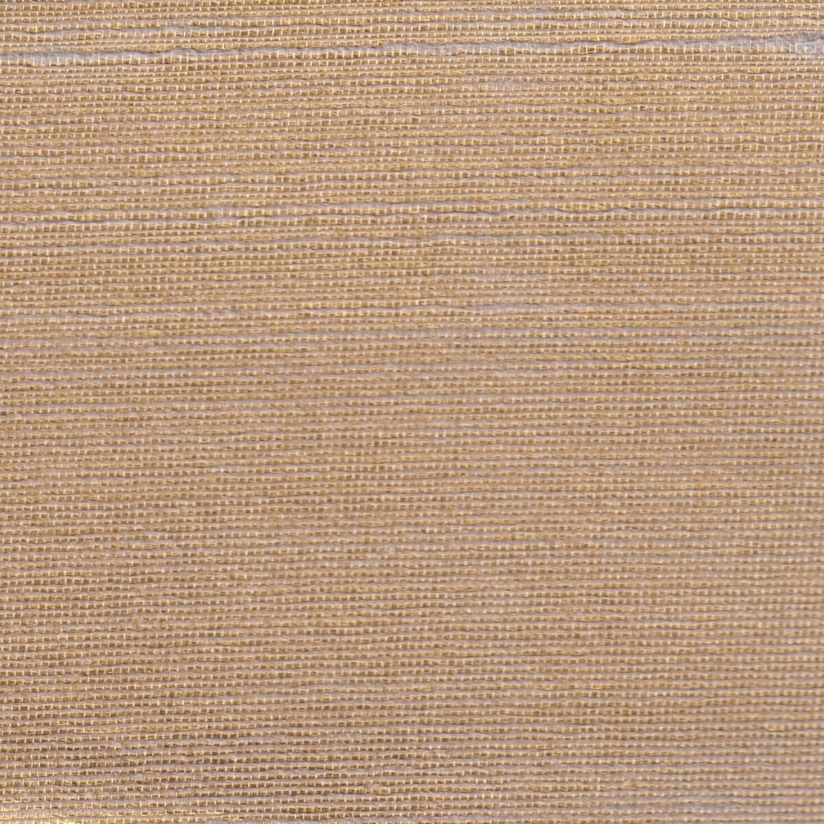 Метражные обои для стен  Yana Svetlova Natural Silk T-NatS-19 