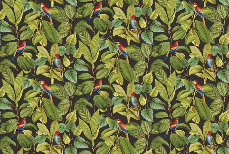 Обои для стен  Ortograf Oasis OR 32719 