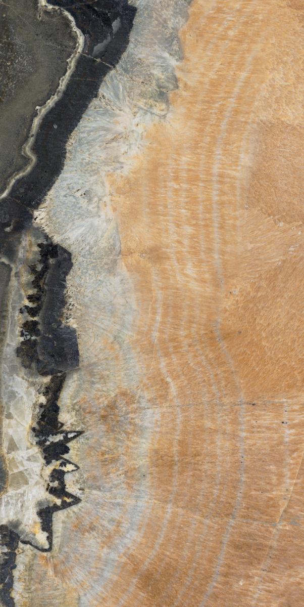 Обои для стен  Tecnografica Decora Lux 59746-1 