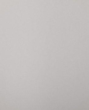 Обои для стен  Bernardo Bartalucci Coco Art 5103_13 