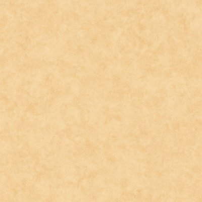 Обои для стен  Caselio Beton 2 101481515 