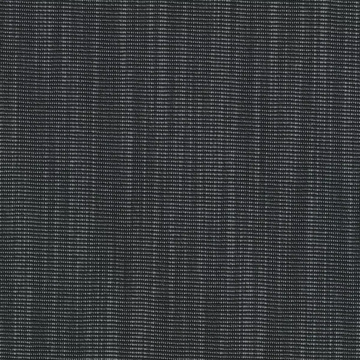 Ткань Kvadrat Raas by Doshi Levien 7913-0172  купить в Москве по выгодной цене|Интернет-магазин дизайнерских решений Decorwall