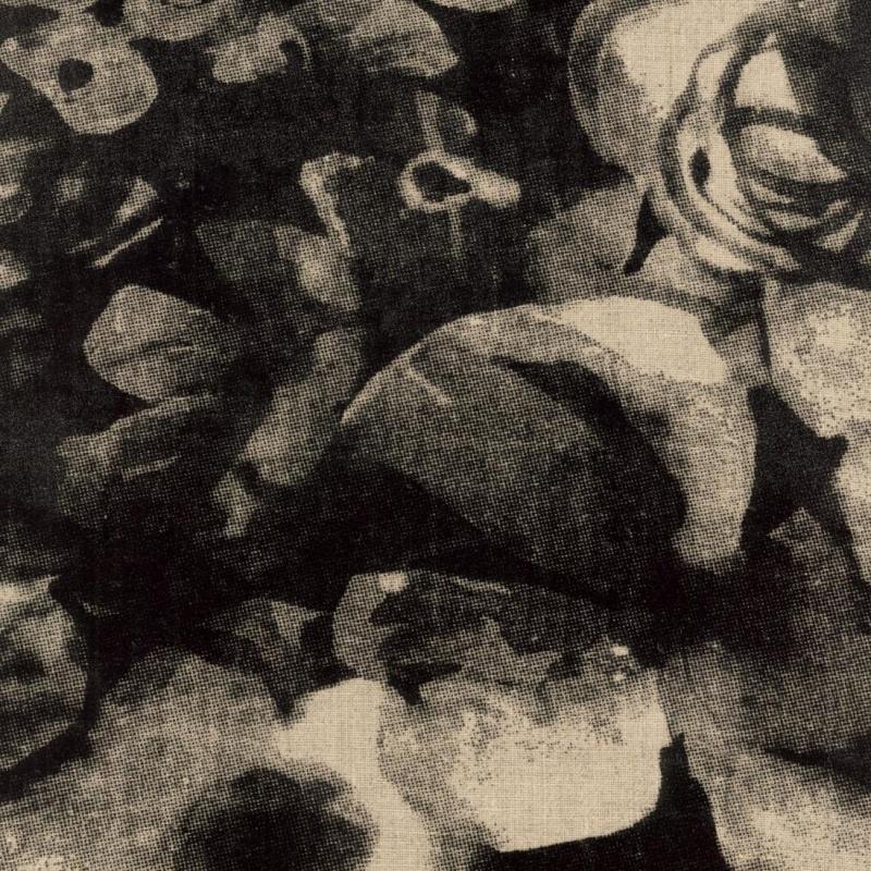 Ткань Rubelli Petunia 30307_2  купить в Москве по выгодной цене|Интернет-магазин дизайнерских решений Decorwall