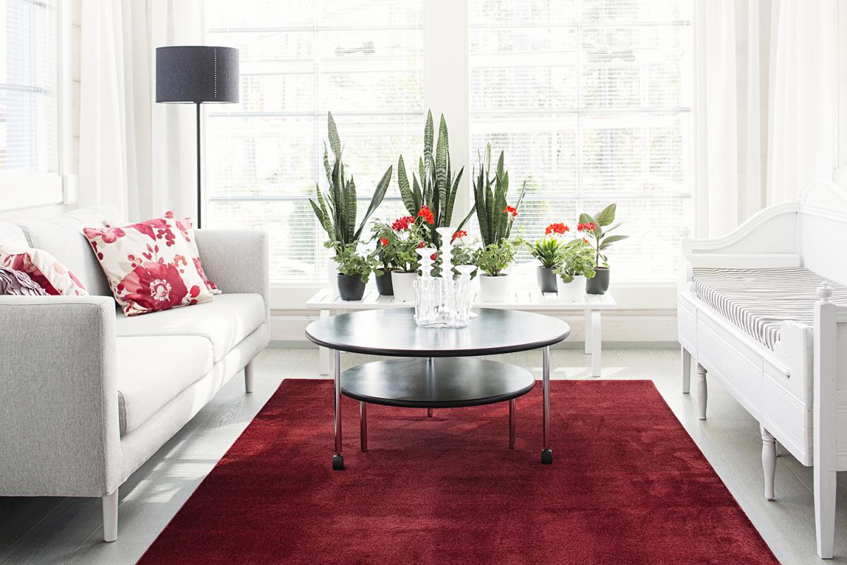 Ковер    Satine punainen pien_VM Carpet 