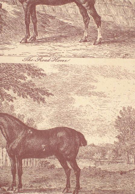 Обои для стен  Lewis & Wood Classical Wallpapers lw95177 