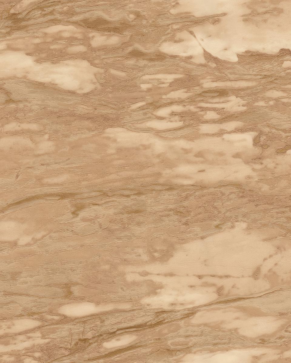 Обои для стен  Roberto Cavalli No.9 21029 