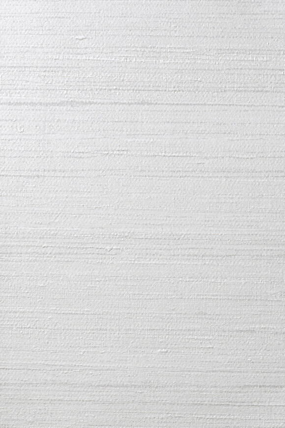 Метражные обои для стен  Arte Contract Silkx Raw 67490 