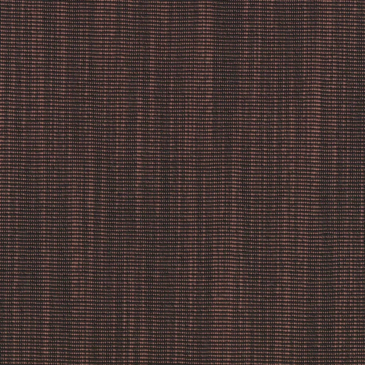 Ткань Kvadrat Raas by Doshi Levien 7913-0662  купить в Москве по выгодной цене|Интернет-магазин дизайнерских решений Decorwall