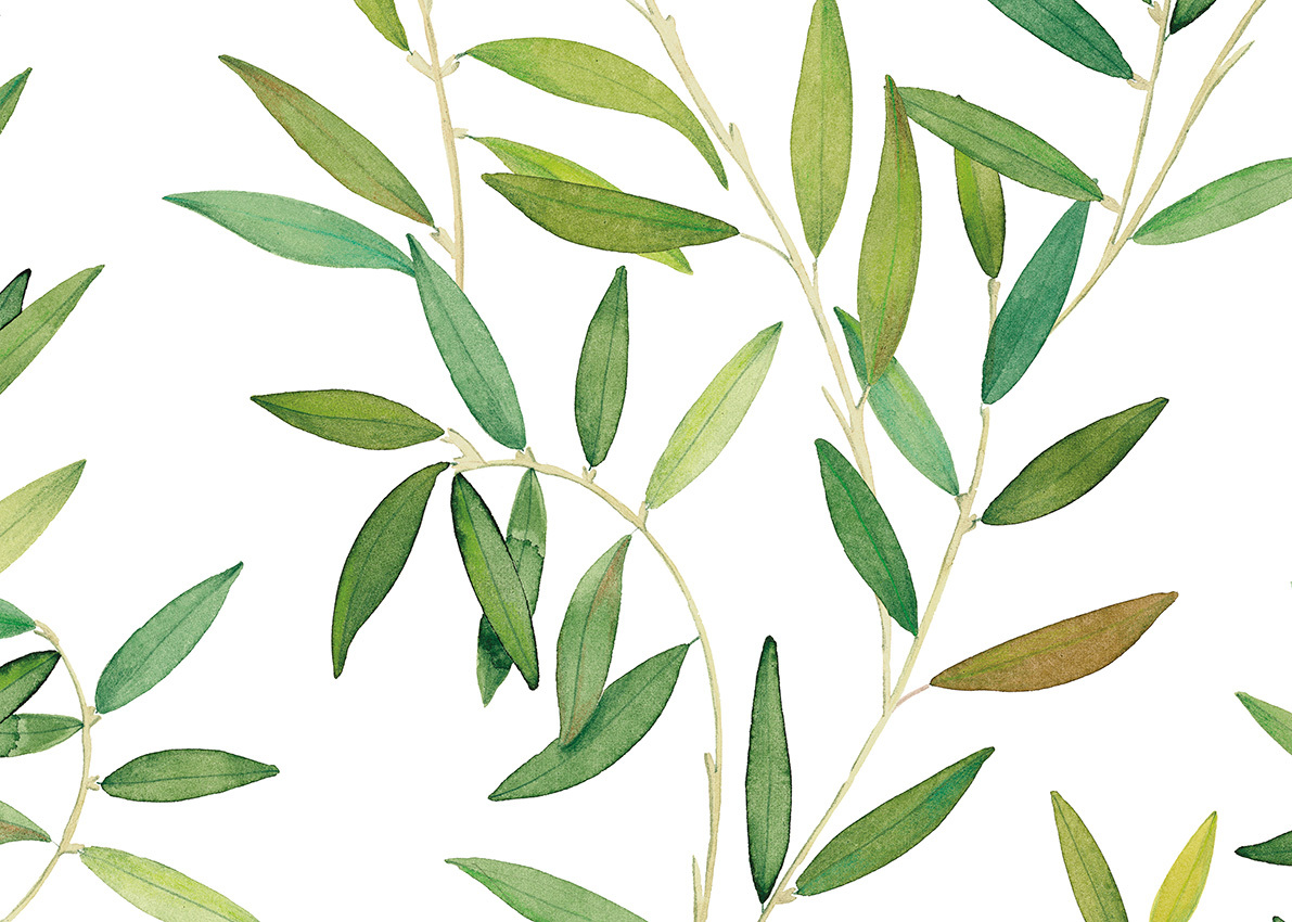 Обои для стен  Jannelli & Volpi JV505 Grande Corniche 7255 