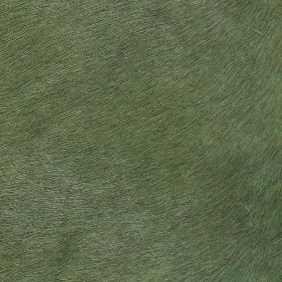   vitellina-pelo-forest-5 